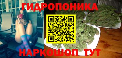гидра Краснознаменск