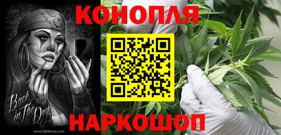 прущие грибы Краснодар