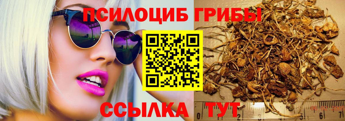 Галлюциногенные грибы мухоморы Волжский